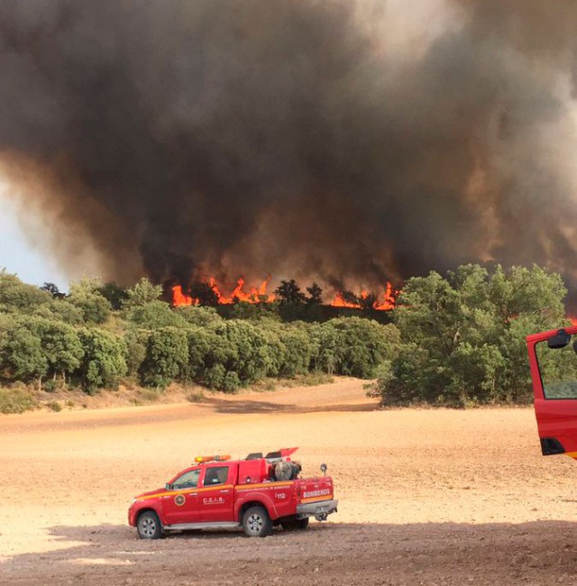 Imagen del incendio de Almoguera (Foto @ceisguadalajara)