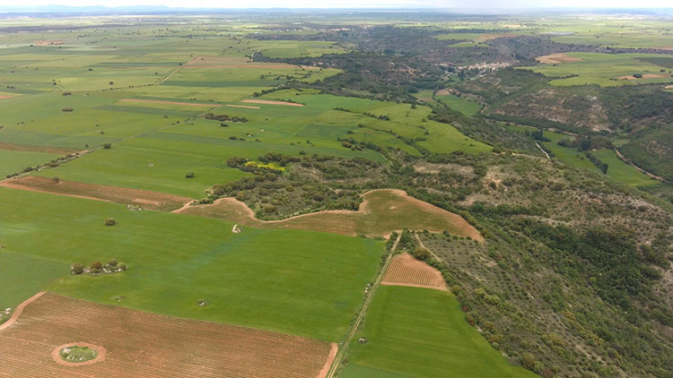 Terrenos en el Valle del Ungria donde se pretende ubicar plantas fotovoltaicas
