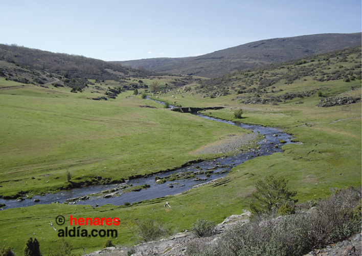 El río Lillas, afluente del Sorbe, en las cercanías del municipio de Cantalojas.