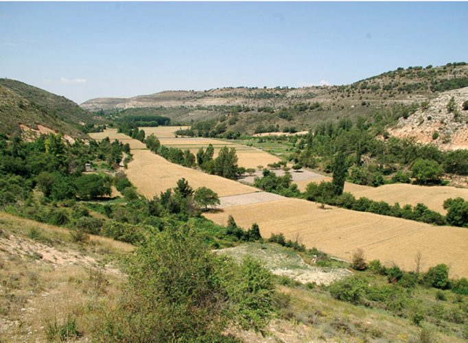 Paisaje de trigales en el valle del Badiel, en el corazón de la provincia.