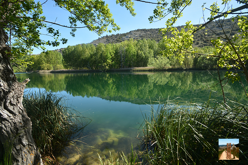 Un paseo por la laguna de Somolinos Henares al día