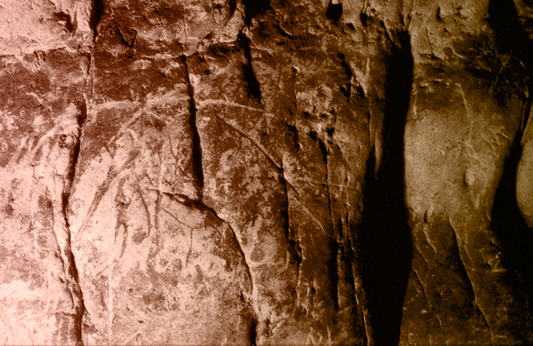 Cabeza de caballo en el pasillo de entrada. Página 49 (1) del libro  «Los grabados de la Cueva de Los Casares. Riba de Saelices (Guadalajara)