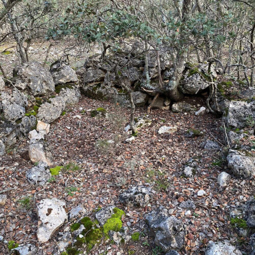 Trincheras en Utande. Asociación Histórica Frente de Guadalajara