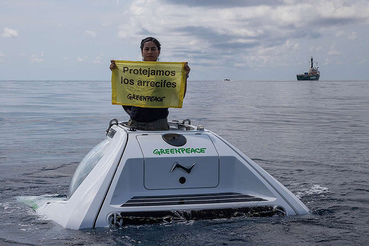 Activista de Greenpeace en el NEMO