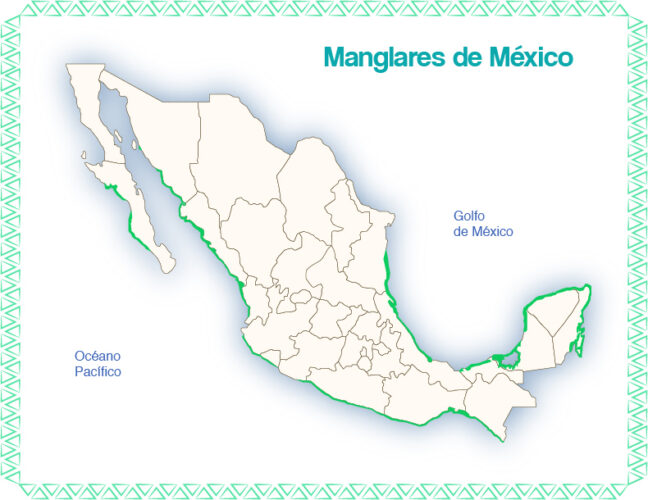 Mapa manglares México. Foto Gobierno de México